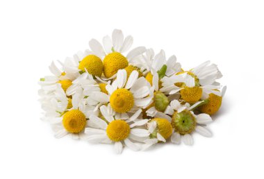 Tıbbi papatya çayı beyaz arkaplanda izole edilmiş.