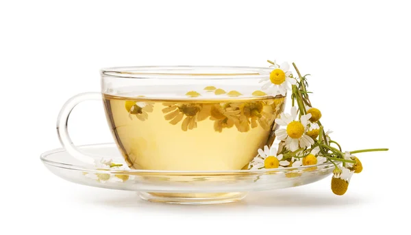 Taza de té de manzanilla medicinal — Foto de Stock