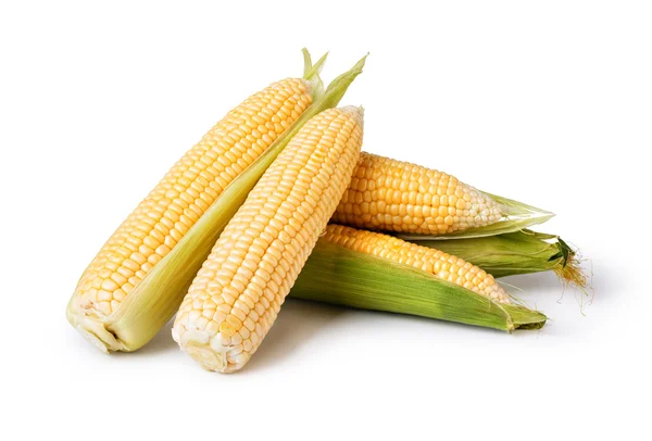 Beyaz arkaplanda izole edilmiş mısır — Stok fotoğraf
