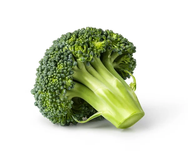 Fresh broccoli isolated on white background — Stock Photo, Image