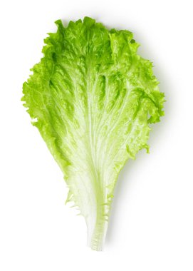 Marul yaprakları beyaz arka planda yalıtılmış. Üst görünüm