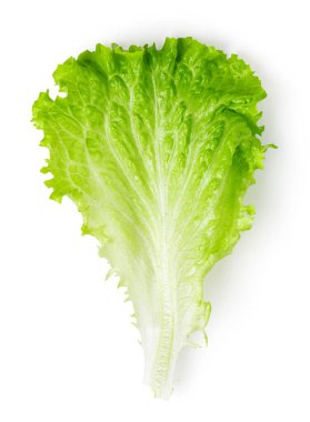 Marul yaprakları beyaz arka planda yalıtılmış. Üst görünüm