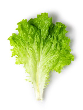 Marul yaprakları beyaz arka planda yalıtılmış. Üst görünüm