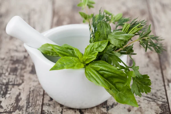 Mortar with herbs isolated — Stock Photo, Image