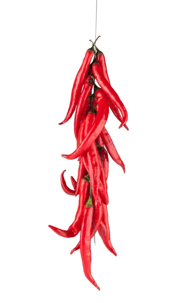 Red chili pepper — Stock Photo, Image