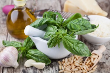 Pesto yapmak için malzemeler