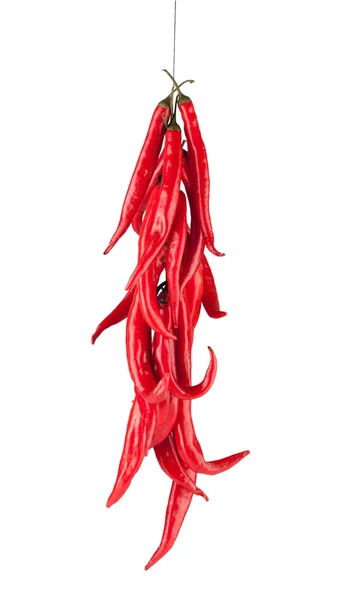 Red chili pepper — Stock Photo, Image