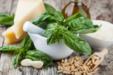 Pesto yapmak için malzemeler