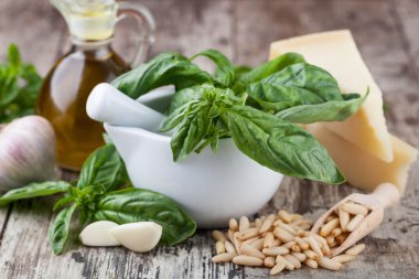 Pesto yapmak için malzemeler