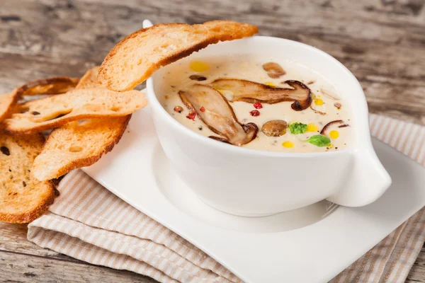 Cream of mushroom soup — Stock Photo, Image