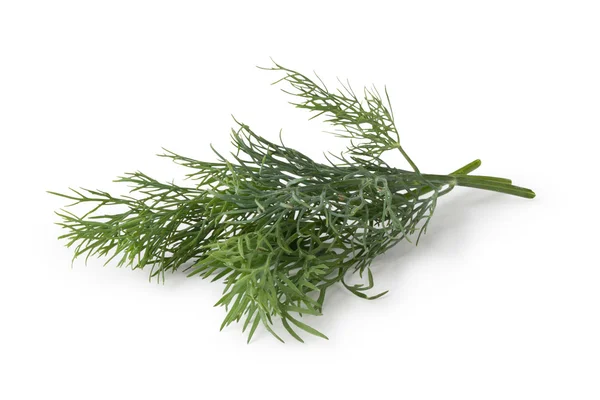 Groene dill — Stockfoto