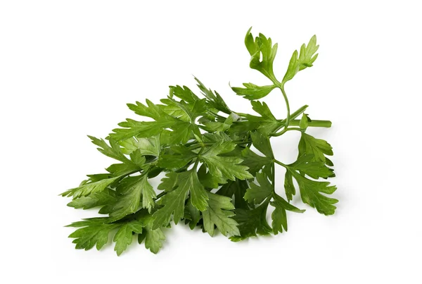 Parsley — Stock Photo, Image