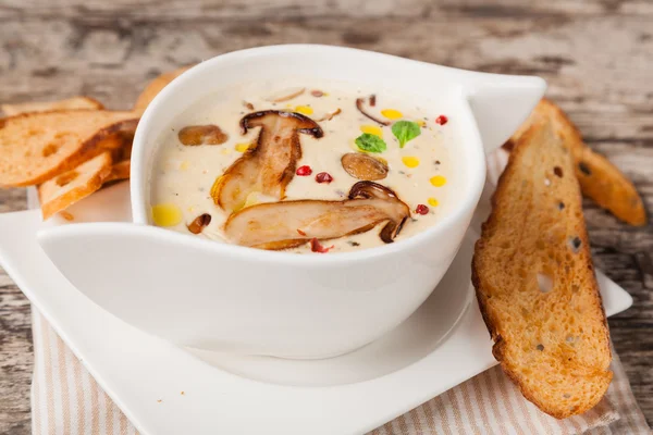 Cream of mushroom soup — Stock Photo, Image