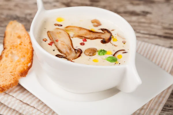 Крем из грибного супа — стоковое фото