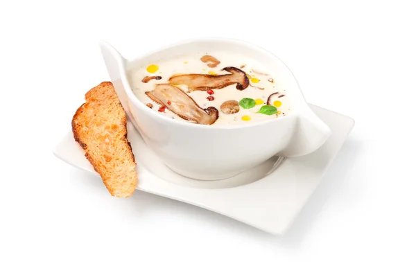 Cream of mushroom soup — Stock Photo, Image