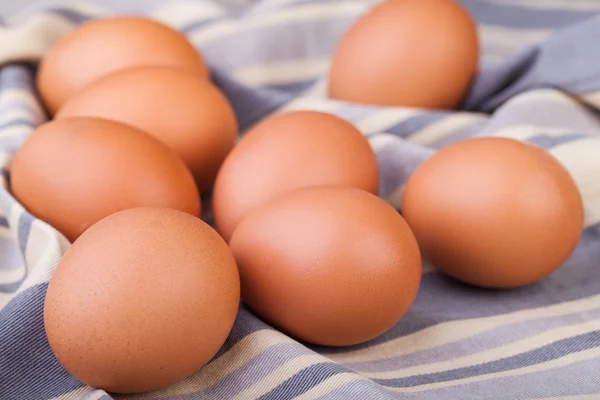 Ouă — Fotografie, imagine de stoc