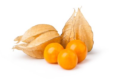 olgun physalis