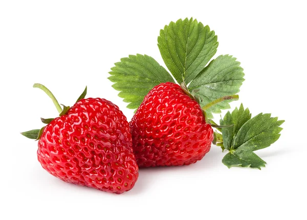 Erdbeeren — Stockfoto