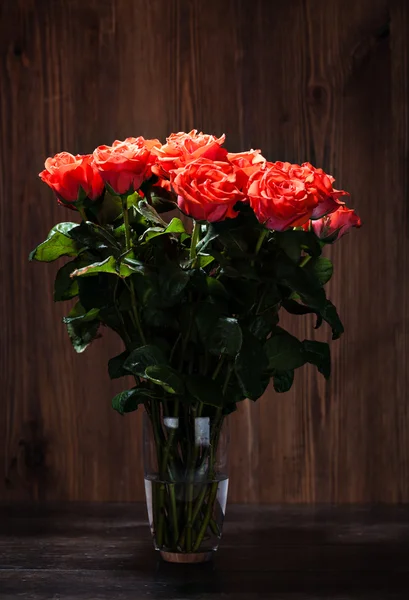 Rosa roja. primer plano foto — Foto de Stock