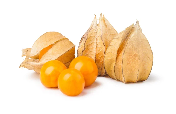 Physalis maduro. fechar a foto — Fotografia de Stock