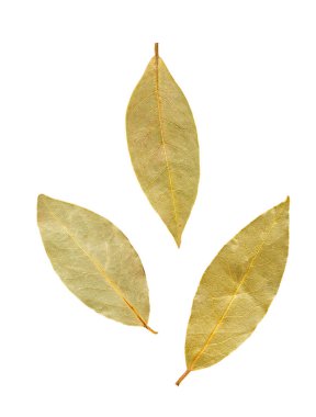 Beyaz arka plana saçılmış kuru defne yaprakları, yemek ve baharat için kullanışlı.