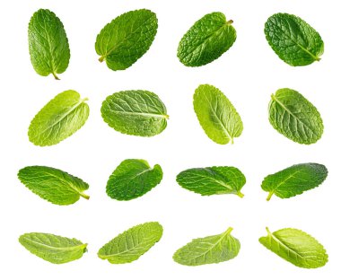 Taze yeşil nane yaprakları bembeyaz süzülüyor