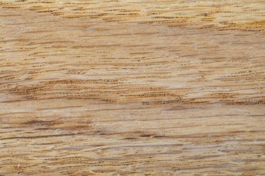 Tahta tohumu soyut arkaplan doğal ahşap dokusunu ve detaylarını gösteriyor