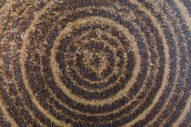 Kabarık bronz bir zemin üzerinde koyu halkaları gösteren desenli yüzey