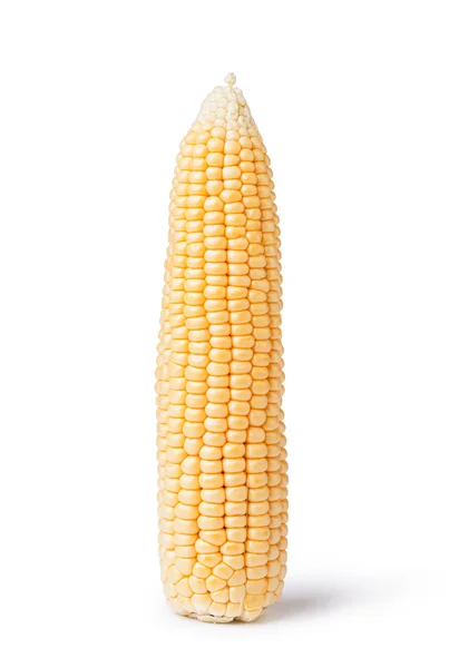 Corn on white — Stock Photo, Image