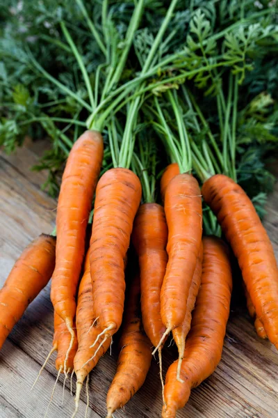 Ramo de zanahorias frescas — Foto de Stock
