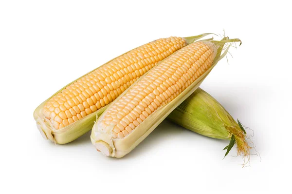 Corn. close up Photo — Stock Photo, Image