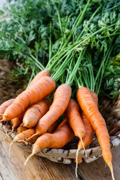 Ramo de zanahorias frescas — Foto de Stock