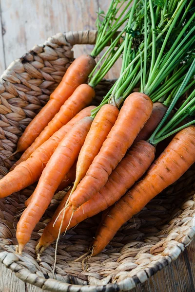 Ramo de zanahorias frescas —  Fotos de Stock
