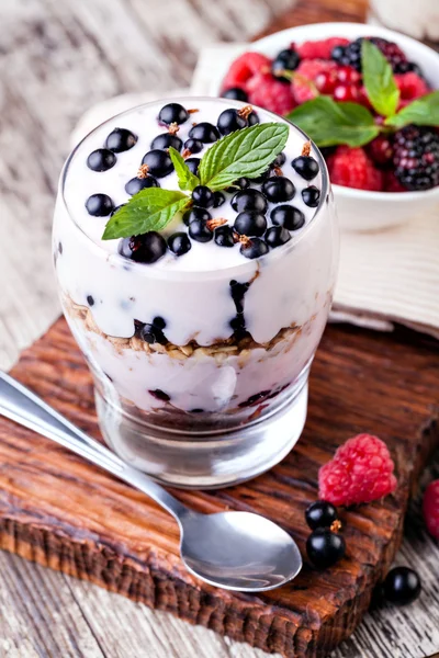 Yogurt with muesli and berries — Stock Photo, Image