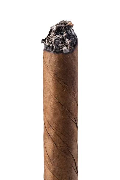 Cigar isolated on a white background — Stock Photo, Image