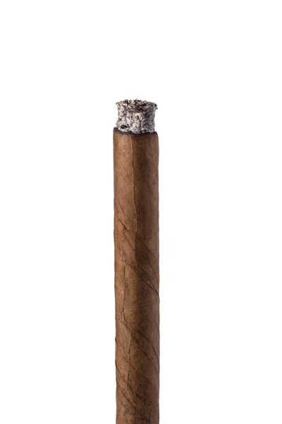 Cigar isolated on a white background — Stock Photo, Image