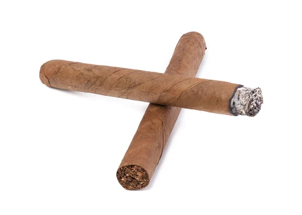 Cigar isolated on a white background — Stock Photo, Image