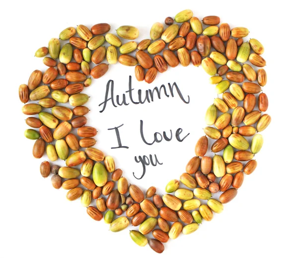 Kalp şeklinde meşe palamutları düz lay