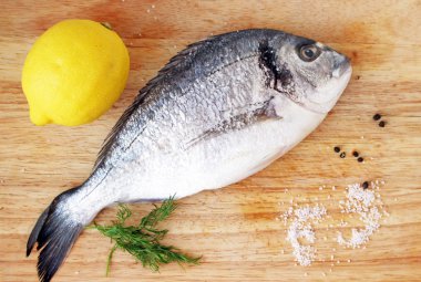 Yaldızlı kafalı çipura, dorado, düz lay