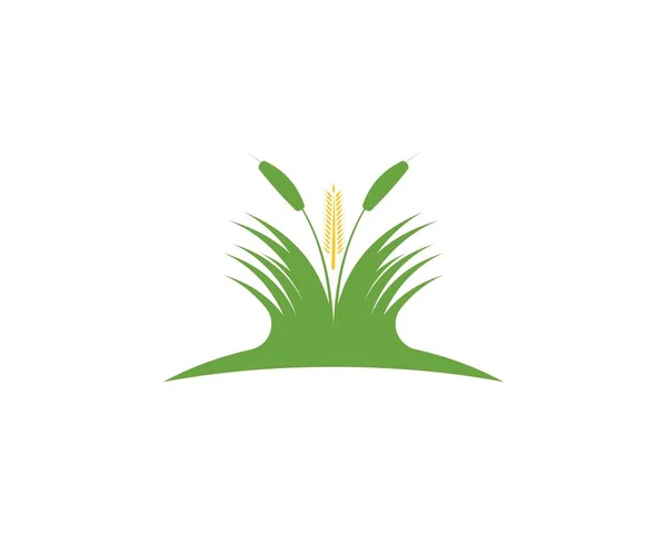 Naturikon Logo Design Vektor Illustration — Stock vektor