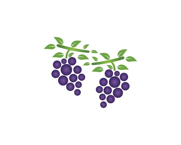 Modèle Logo Icône Raisin Vecteur — Image vectorielle
