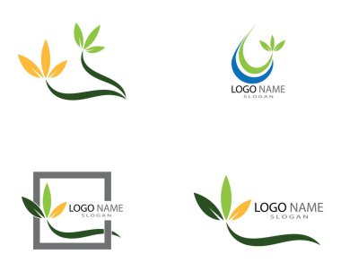 Yeşil yapraklı ekoloji doğa elementi