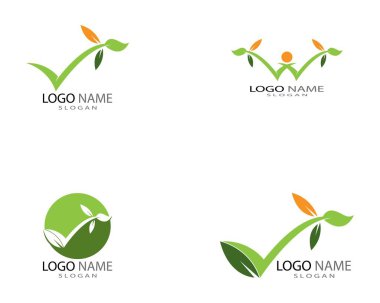 Yeşil yapraklı ekoloji doğa elementi