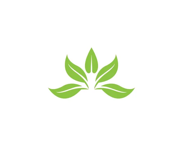 Natur Blatt Pflanze Logo Vektor — Stockvektor