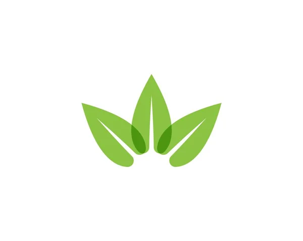 Vektor Loga Rostliny Přírodního Listu — Stockový vektor