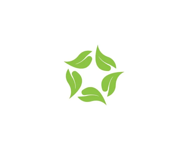 Modelo Logotipo Folha Natureza —  Vetores de Stock