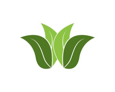 Doğa yaprağı simgesi ve sembol vektör illüstrasyonu