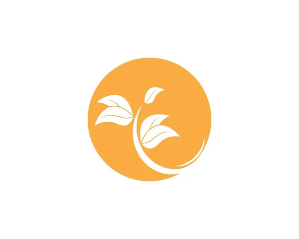 Ikona Liści Przyrody Symbol Wektor Ilustracji — Wektor stockowy