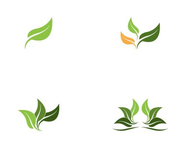 Doğa yaprağı logo vektörü