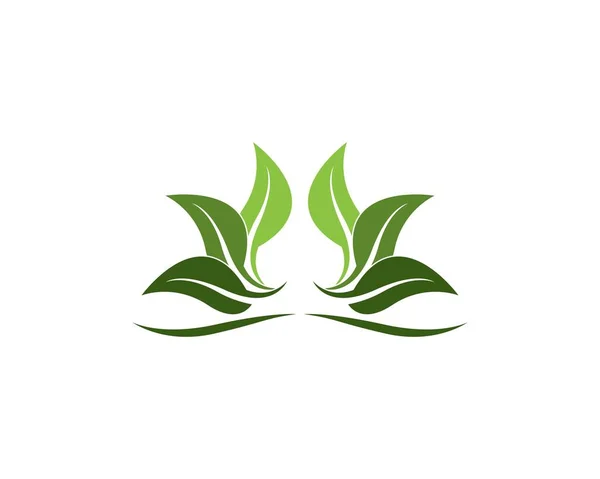 Doğa Yaprağı Logo Vektörü — Stok Vektör